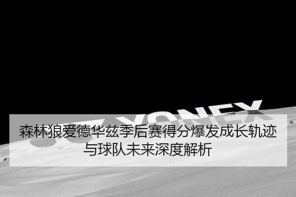 森林狼爱德华兹季后赛得分爆发成长轨迹与球队未来深度解析